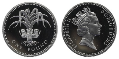 1 фунт 1985 года