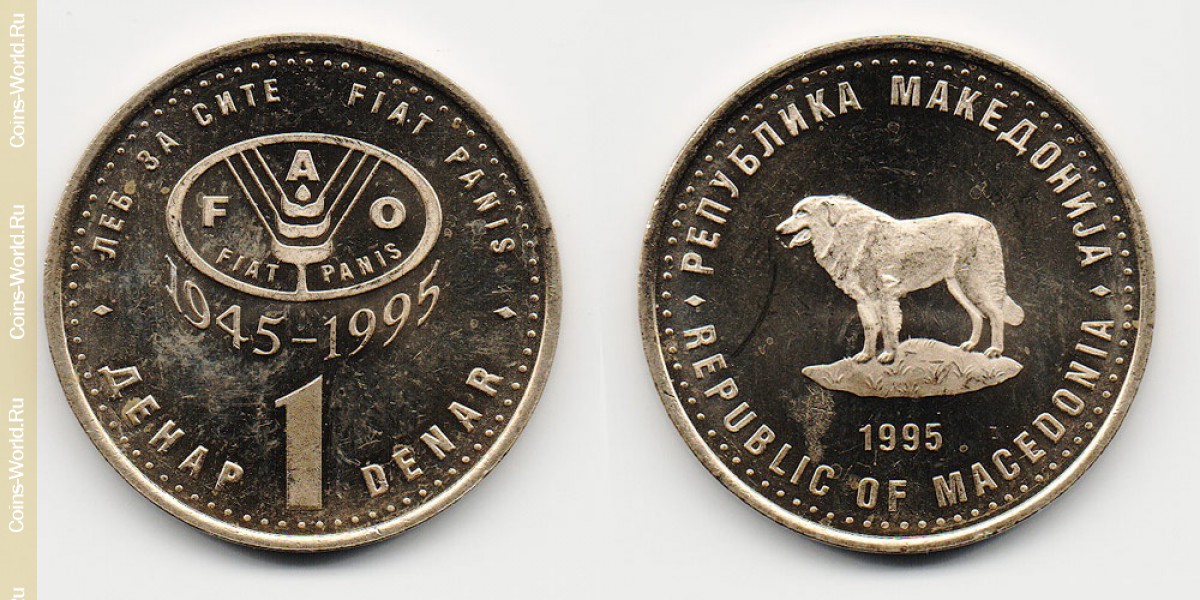 1 denar 1995 Macedonia