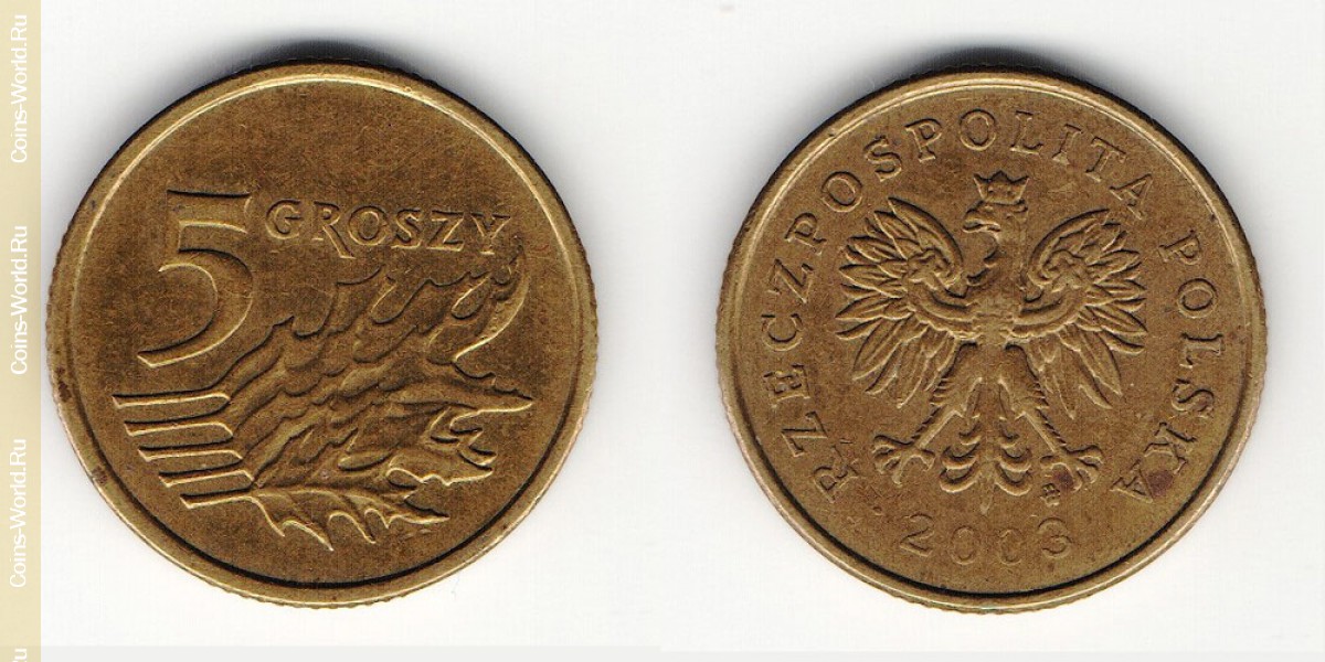 5 groszy 2003, Polonia