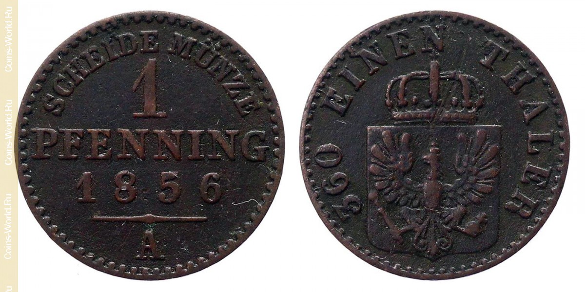 1 пфенниг 1856 года, Пруссия