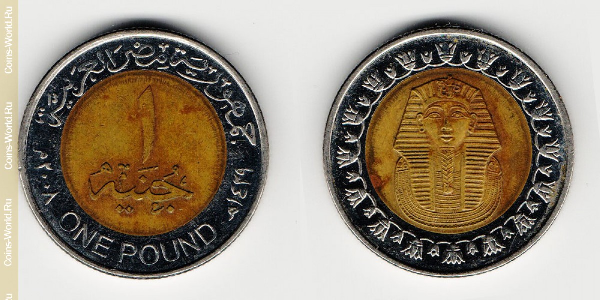 1 pound 2008 Egypt
