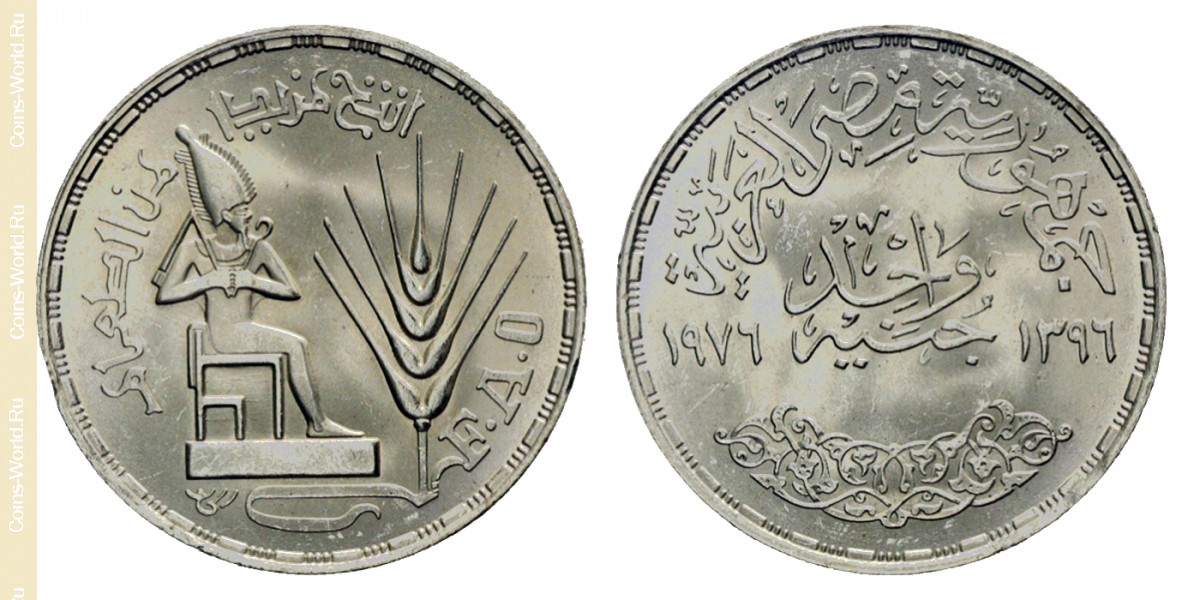 1 libra 1976 - ١٩٧٦, FAO - Alimentos para todos, Egipto