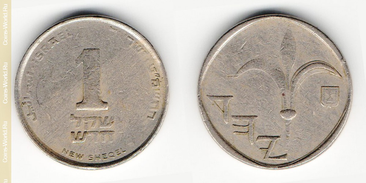 1 shekel novo 1989, Israel