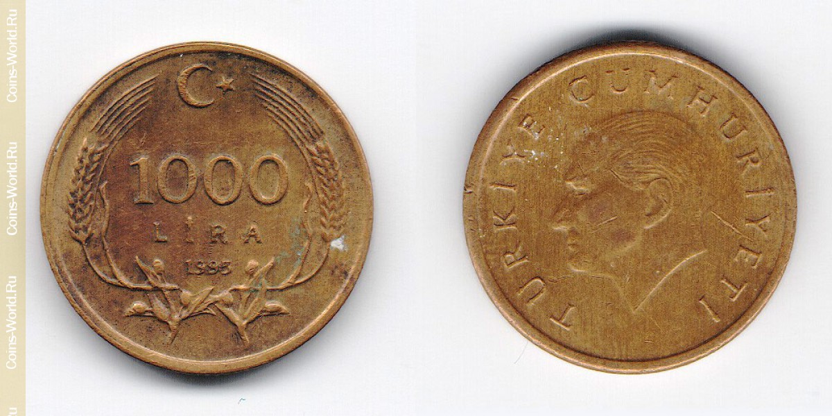 1000 lira 1993, Turquia