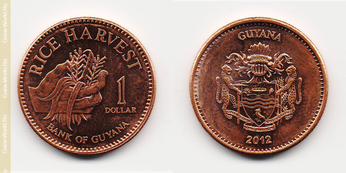 1 доллар 2012 года Гайана