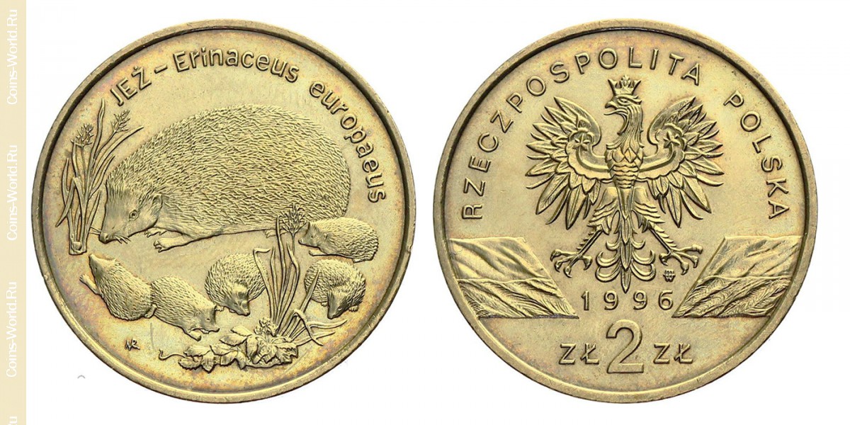 2 zlote 1996, Ouriço, Polônia 