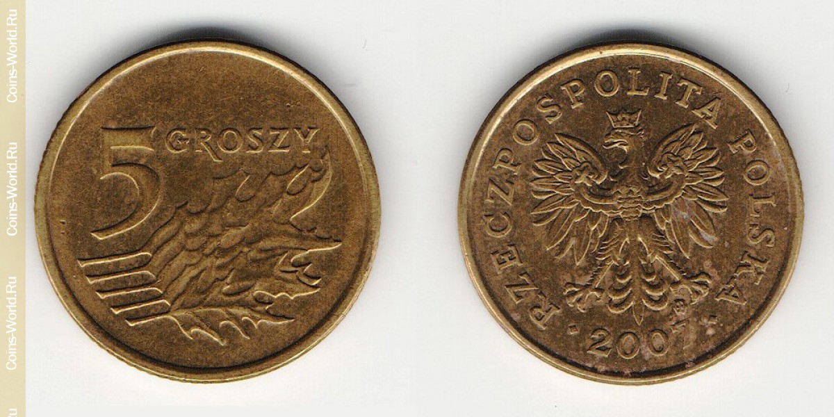5 грошей 2007 года  Польша